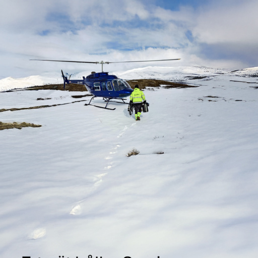 9x16 Kommunikation D2