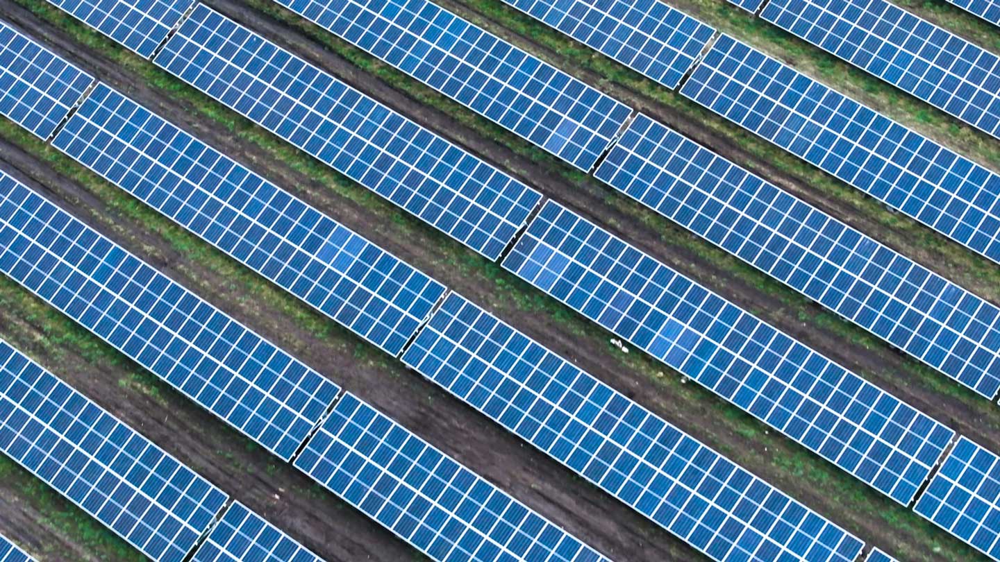 alight_stills_hi-res_4