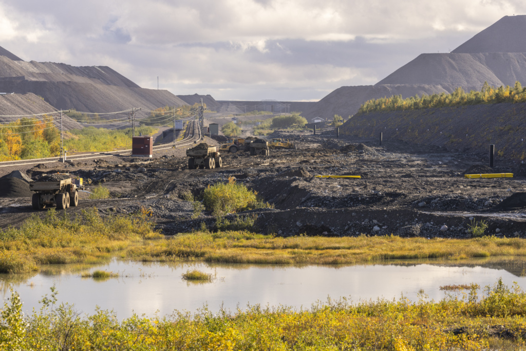 Viscaria_Site_250908_0143