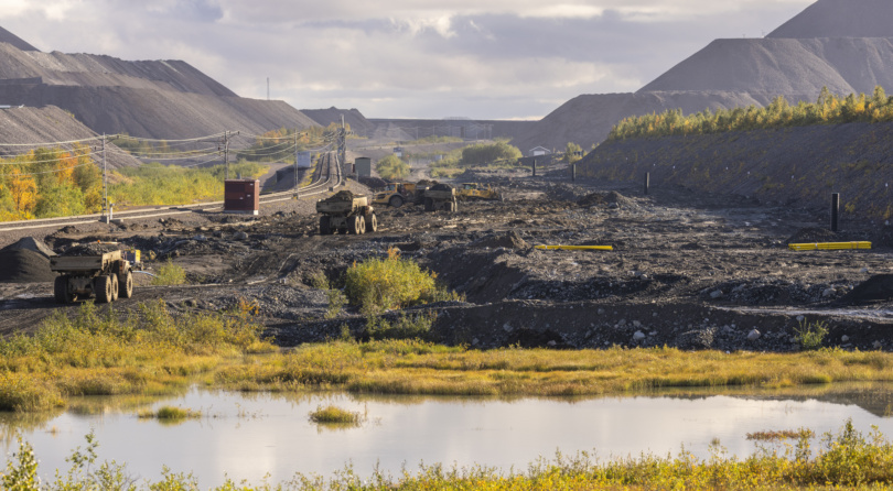 Viscaria_Site_250908_0143