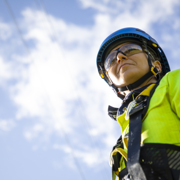 25 år av framgångsrika projekt